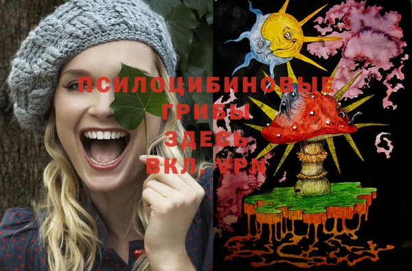 ECSTASY Алексеевка