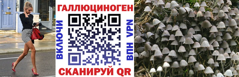 наркошоп  Бронницы  kraken зеркало  Псилоцибиновые грибы GOLDEN TEACHER 